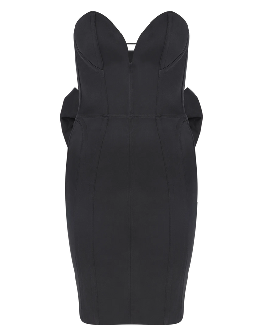 Byrdie  Corset Dress